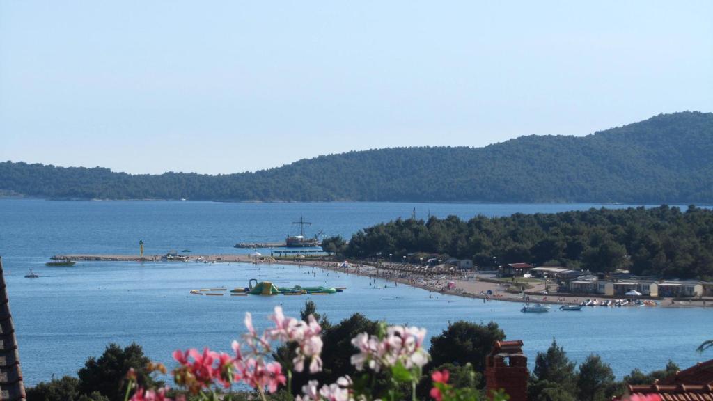 Jimy Apartments Šibenik Kültér fotó